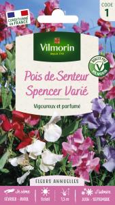 Pois de Senteur Spencer Varié